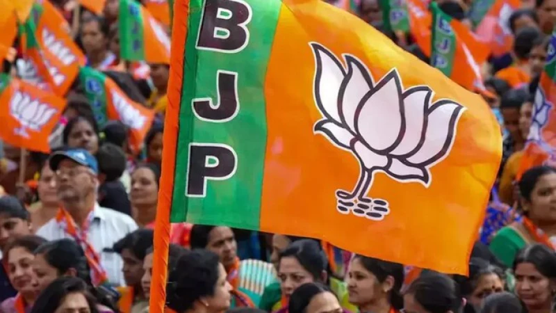 BJP की दिल्ली में बैठक, लोकसभा चुनाव और रामलला की प्राण प्रतिष्ठा मुद्दों पर चर्चा जारी