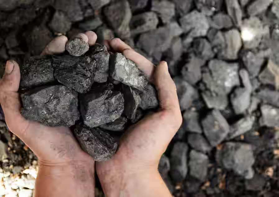 Coal Dealer